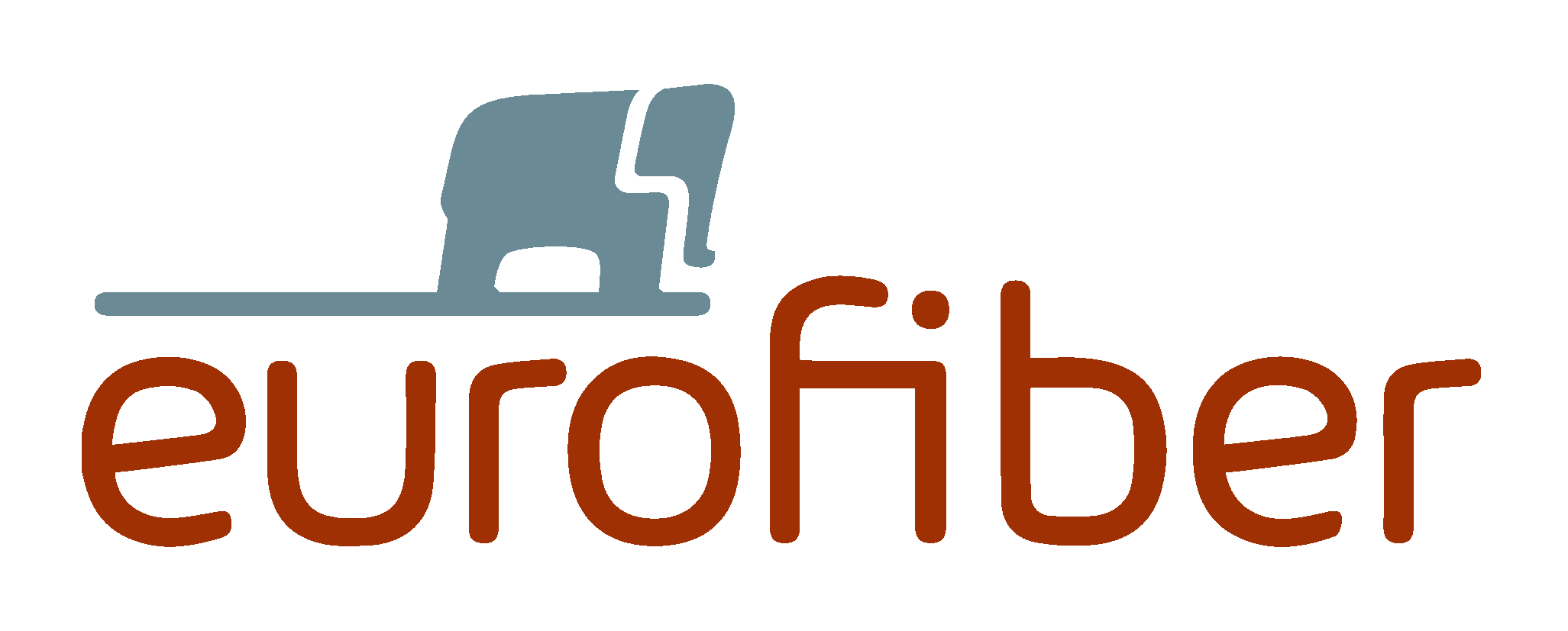  Eurofiber